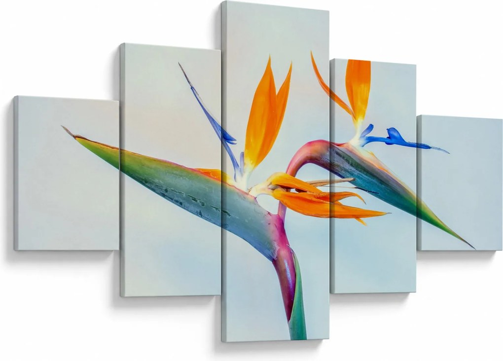 Obraz kwiatu Strelicji (125x70 cm)
