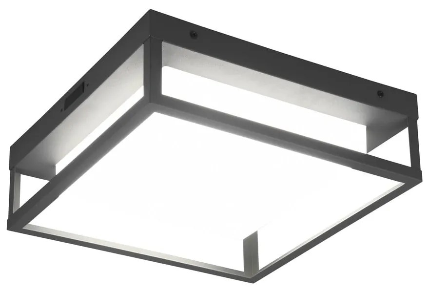 Kinkiet zewnętrzny LED (wys. 10 cm) Witham – Trio