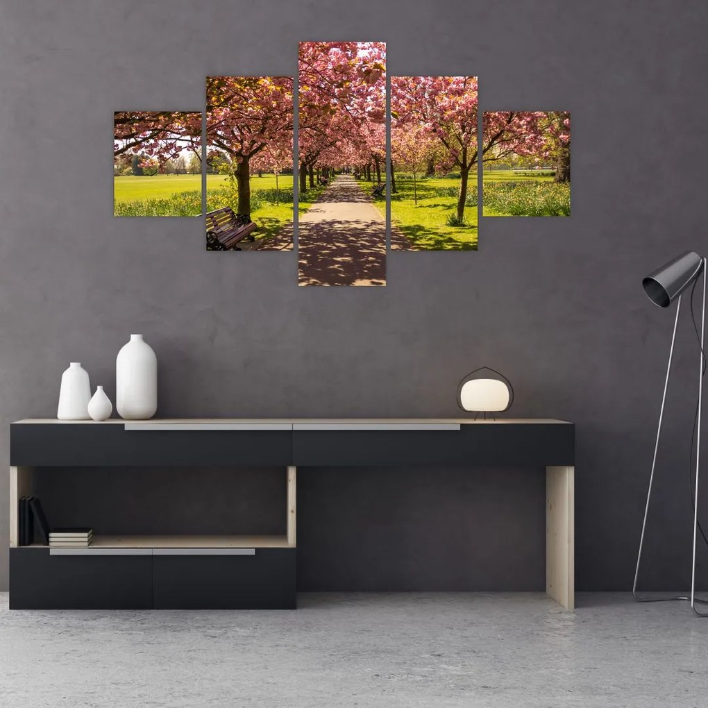 Obraz - sad czereśniowy (125x70 cm)