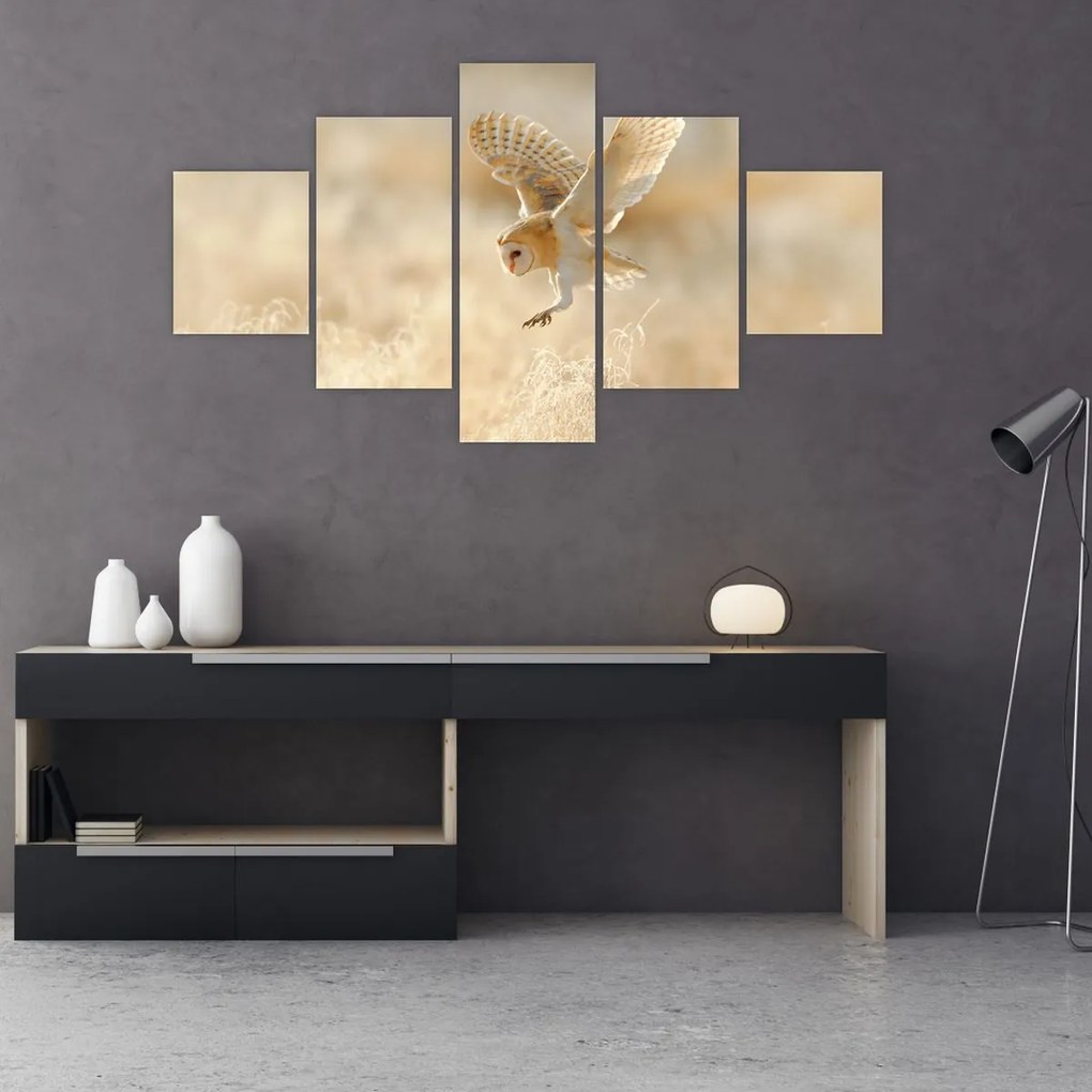 Obraz - Sowa (125x70 cm)
