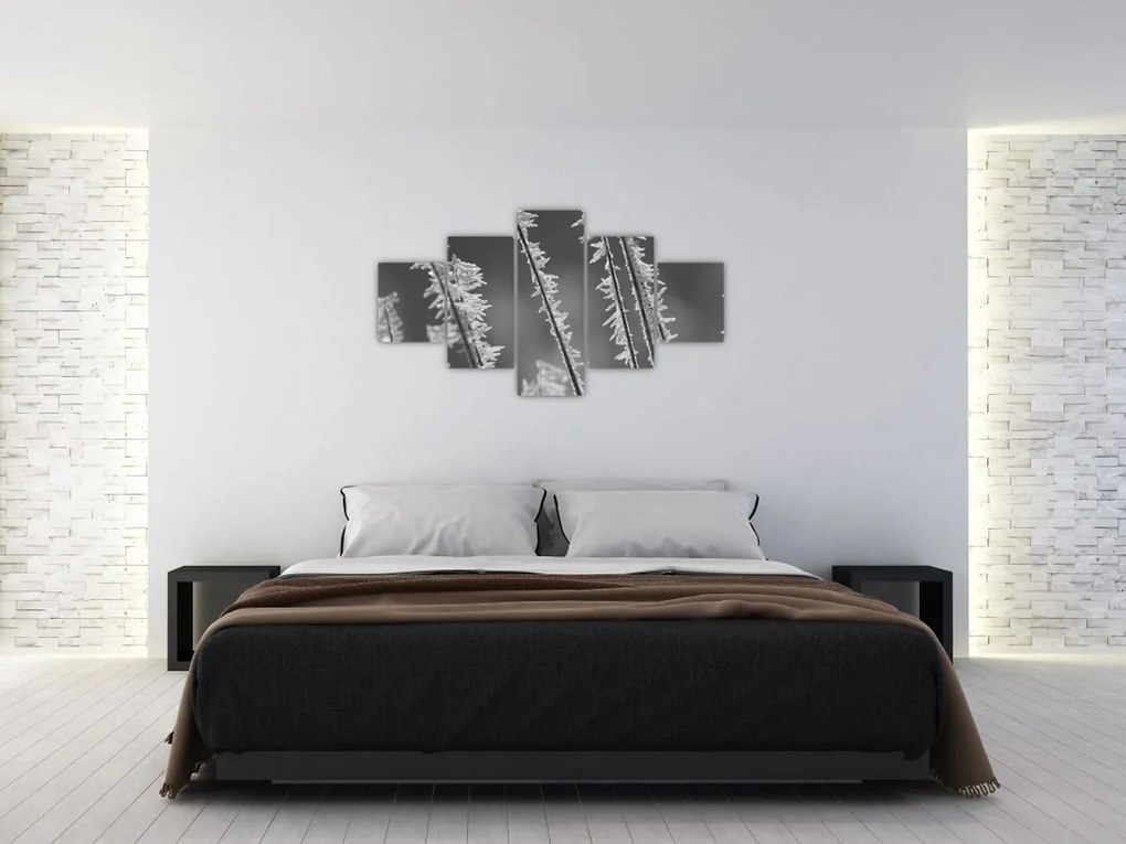 Obraz - Mroźne zimno (125x70 cm)