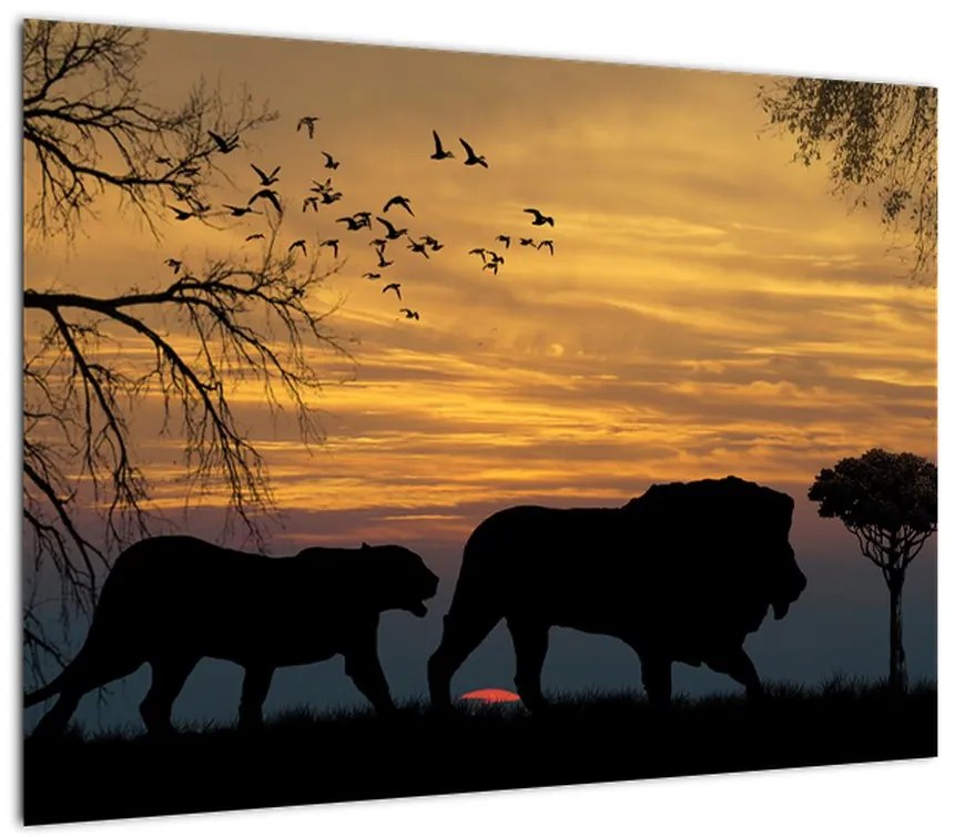 Obraz Safari (70x50 cm)