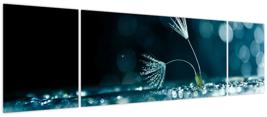 Obraz - Makro (170x50 cm)