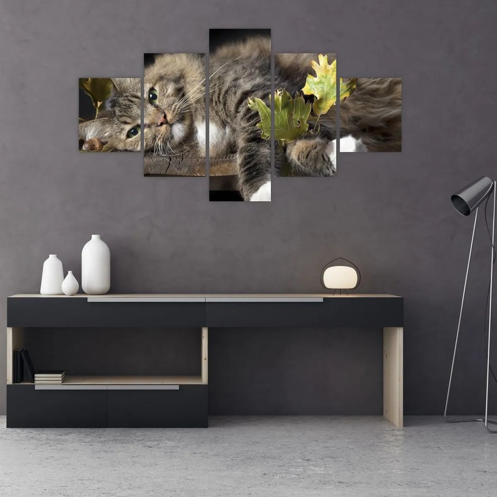 Obraz - Leżący kot (125x70 cm)