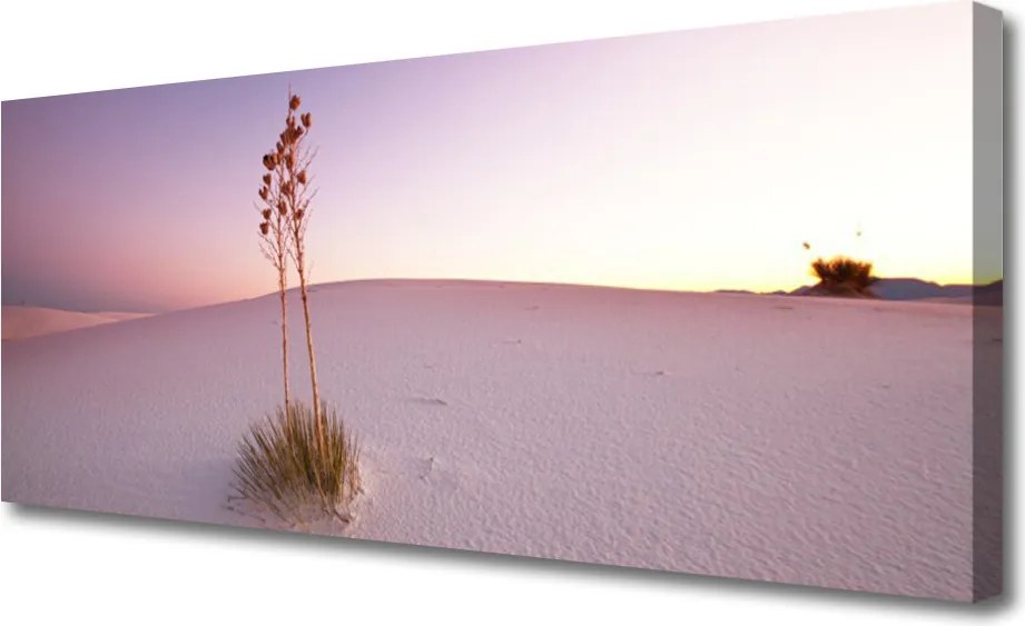 Obraz canvas Piaszczyste Wydmy Pustyni