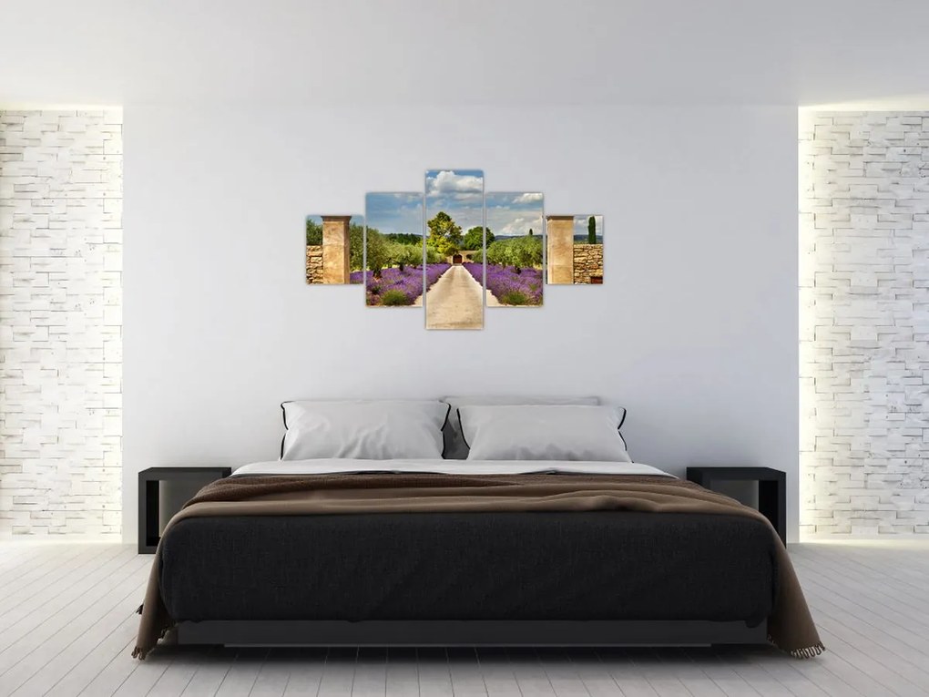 Obraz - Lawendowe ścieżki (125x70 cm)