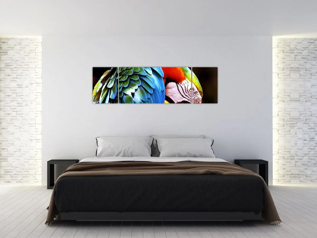 Obraz - Papuga (170x50 cm)