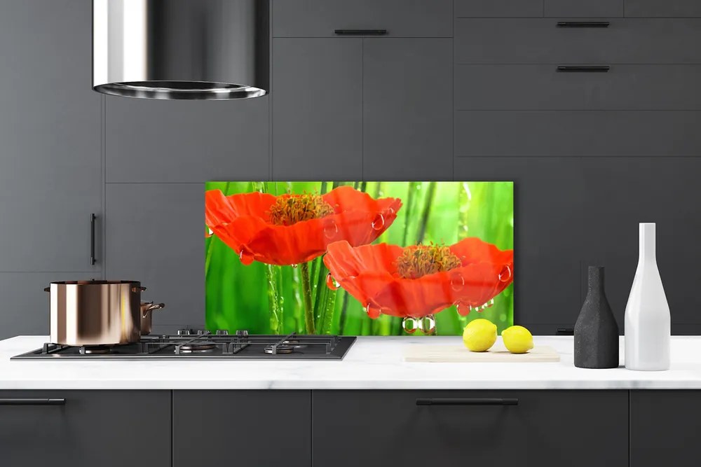 Szkło Ozdobne do Kuchni Klasyczne Maki W Rozkwicie