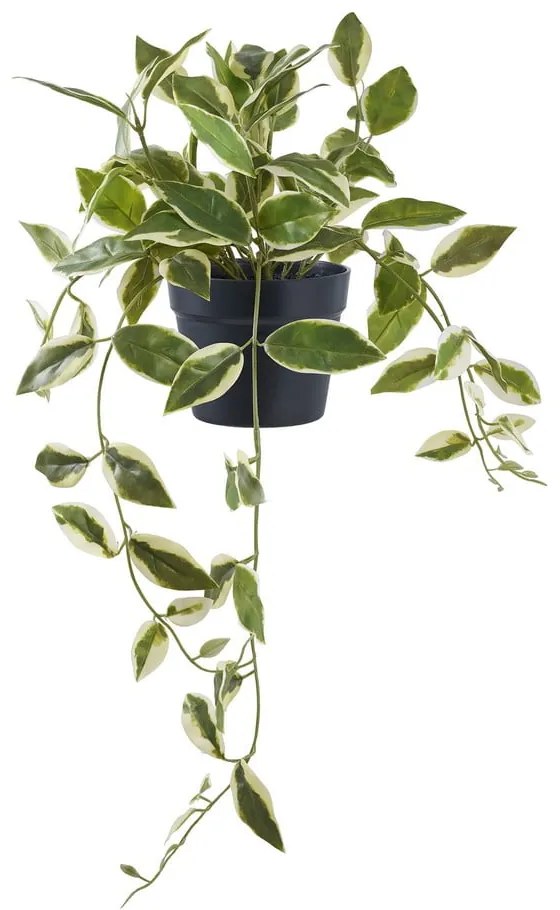 Sztuczna roślina (wysokość 33 cm) Hoya Carnosa – House Nordic