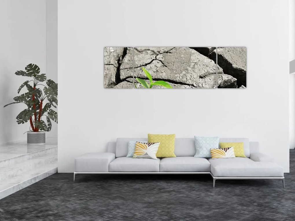 Obraz - Pęknięcia (170x50 cm)