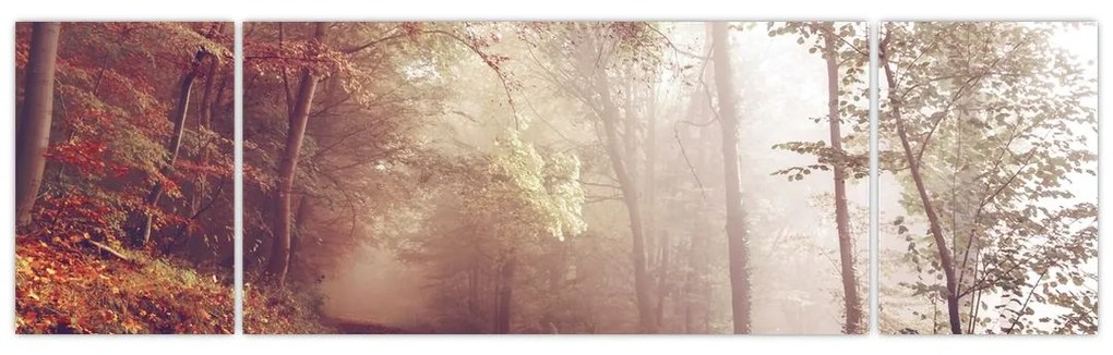 Obraz - Jesienny spacer po lesie (170x50 cm)