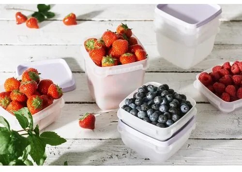 SmartStore Zestaw pojemników plastikowych Freezer 5 szt., lawenda, 500 ml, 500 ml