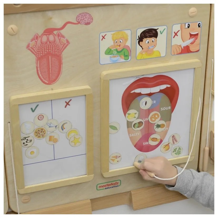 Masterkidz tablica edukacyjna zmysł smaku montessori