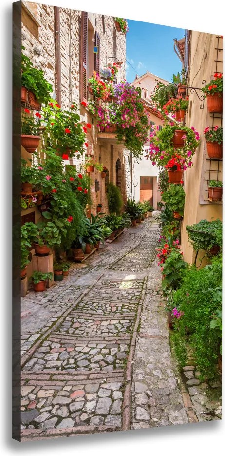 Foto obraz na płótnie pionowy Umbria Włochy