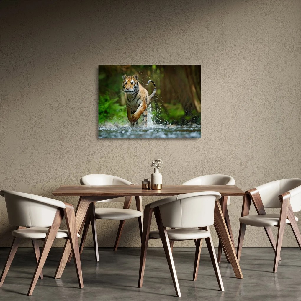 Obraz na szkle - biegnący tygrys (70x50 cm)