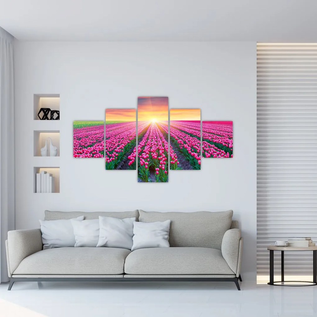 Obraz pole tulipanów ze słońcem (125x70 cm)