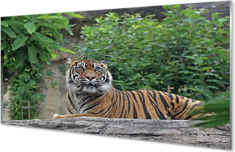 Szklany Panel Tygrys w Sercu Lasu