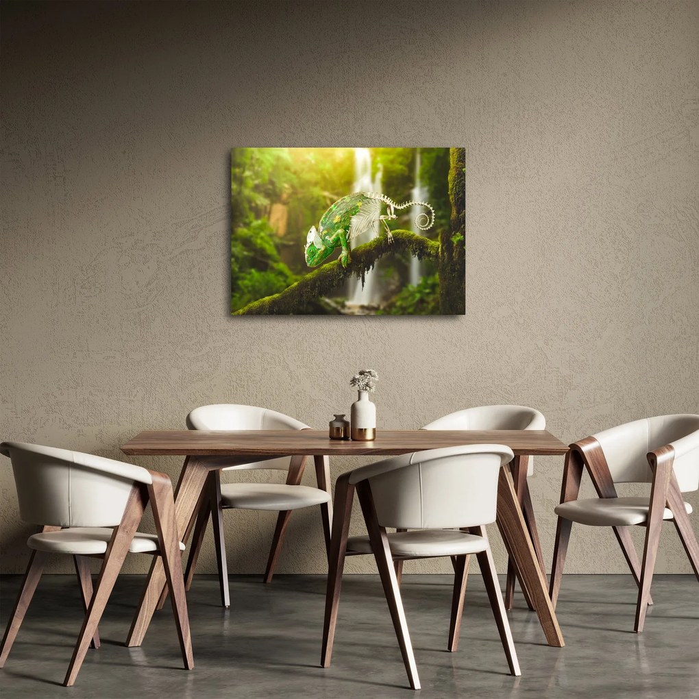 Obraz kameleona (70x50 cm)