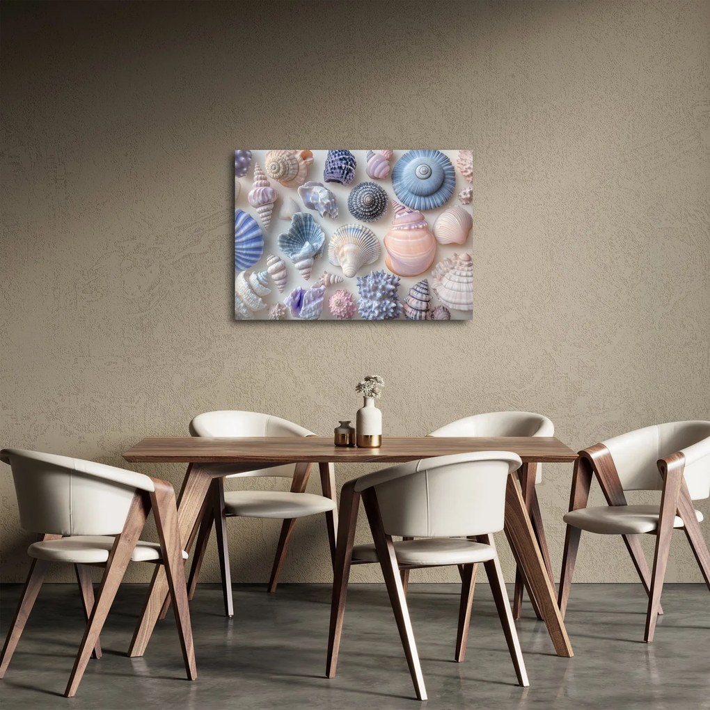 Obraz - Kolekcja muszli (70x50 cm)