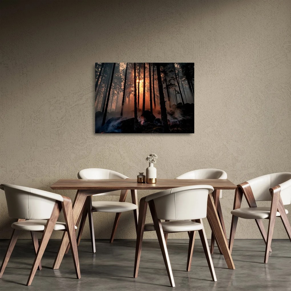 Obraz na szkle - ciemny las (70x50 cm)