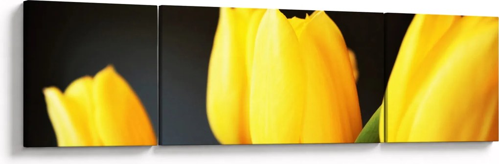 Obraz tulipanów (170x50 cm)