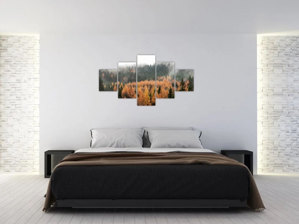 Obraz - Jesienny las (125x70 cm)