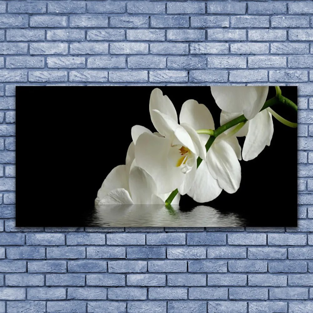 Obraz Canvas Orchidea w Wodzie Kwiaty