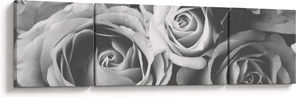Obraz - Róża, czarno - biały (170x50 cm)