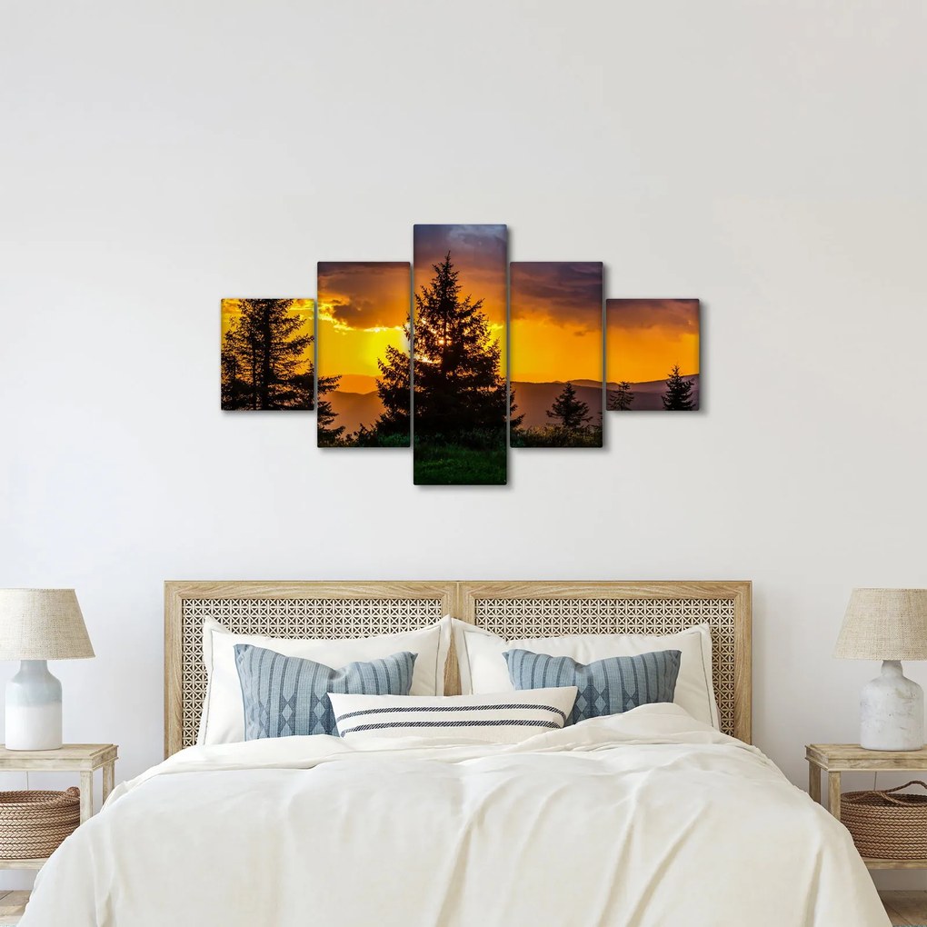 Obraz - drzewa iglaste (125x70 cm)