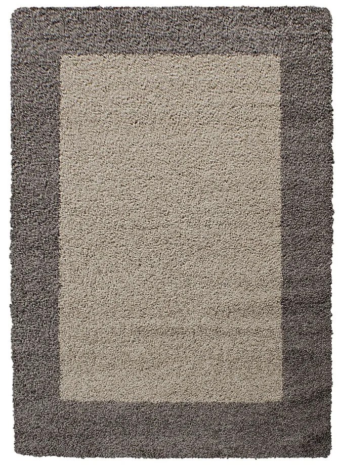 Brązowy dywan 200x290 cm Life – Ayyildiz Carpets