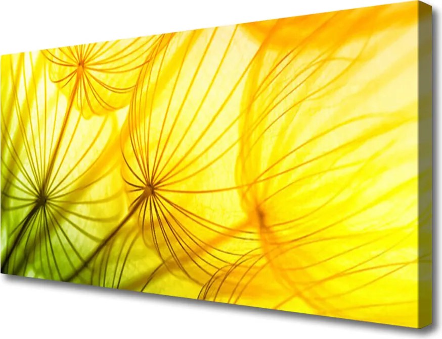 Obraz canvas Puszyste Kule Dmuchawców