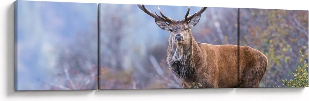 Obraz - Jeleń w krajobrazie (170x50 cm)