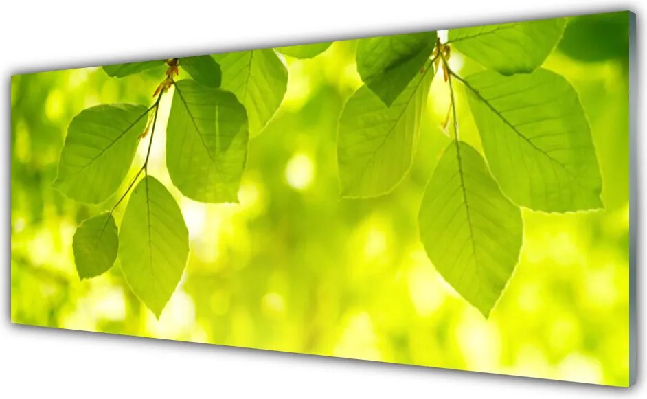 Panel Kuchenny Zielone Liście W Stylu Modern