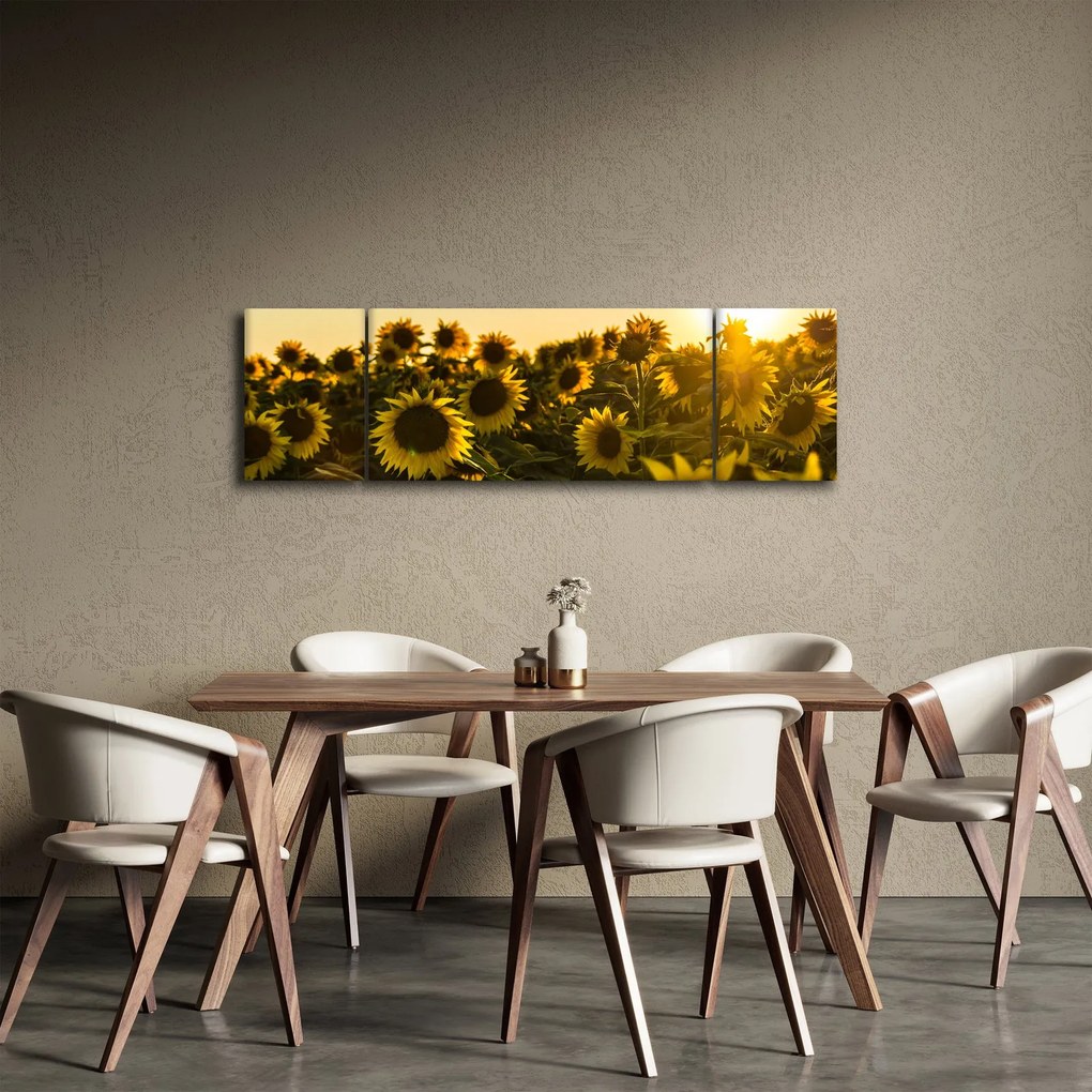 Obraz pola słoneczników (170x50 cm)