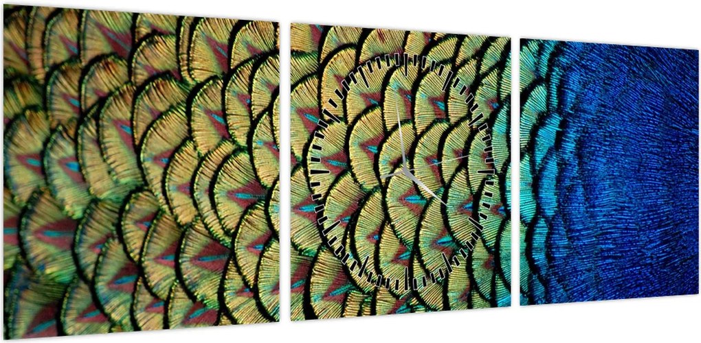 Obraz - Pawie pióra (z zegarem) (90x30 cm)