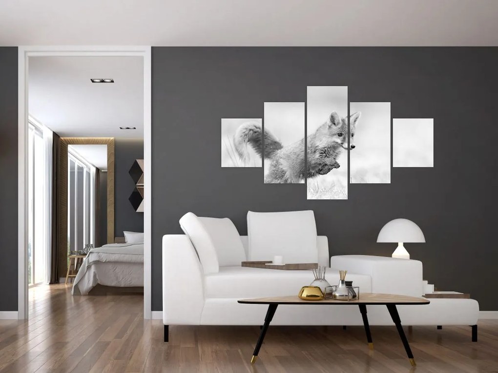 Obraz - Skaczący lis, czarno - biały (125x70 cm)