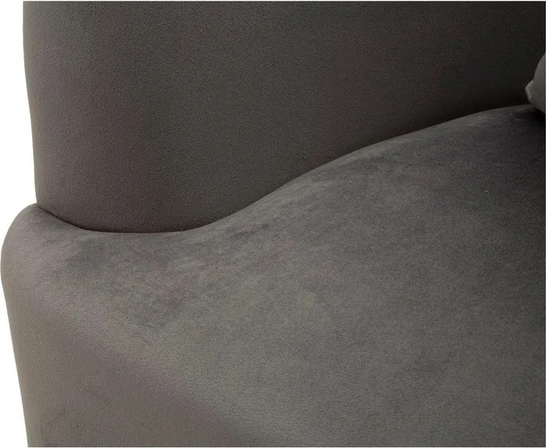 Szary aksamitny fotel Silvery – Mauro Ferretti