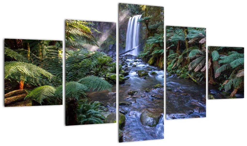 Obraz australijskiego lasu deszczowego (125x70 cm)