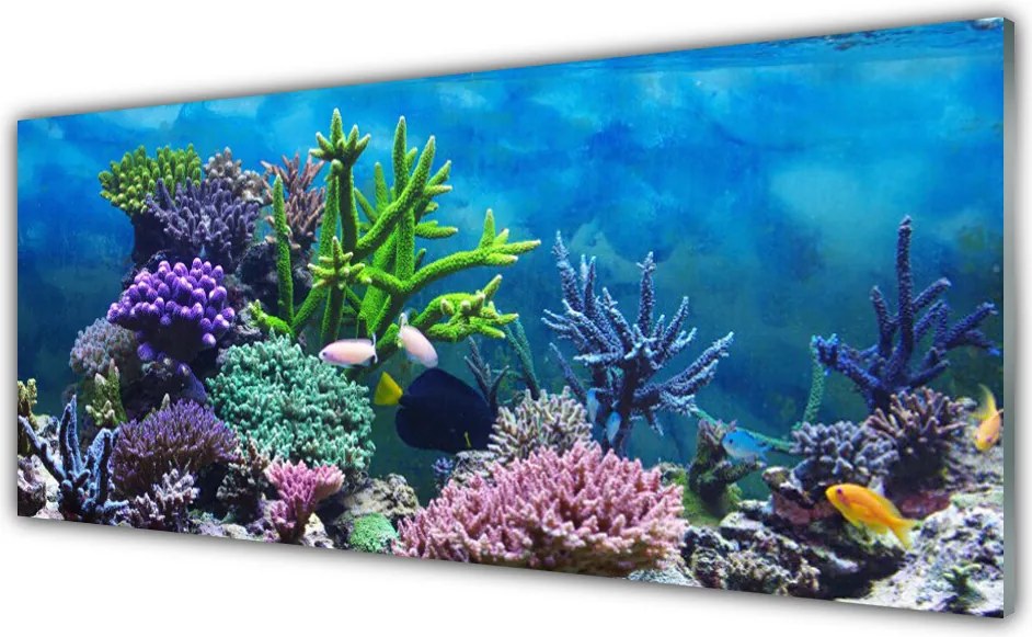 Panel Szklany Kolorowy Świat pod Lustrem Wody