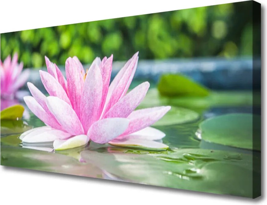 Obraz canvas Kwiat Lotosu na Lustrze Wody