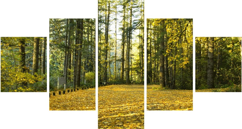 Obraz - las jesienią (125x70 cm)