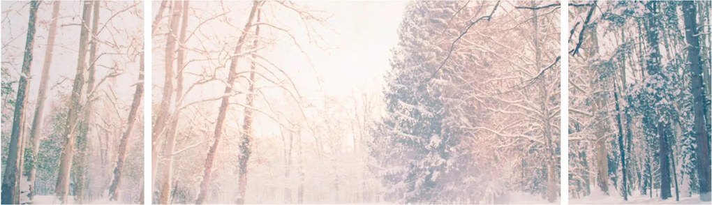 Obraz - Widok na las (170x50 cm)