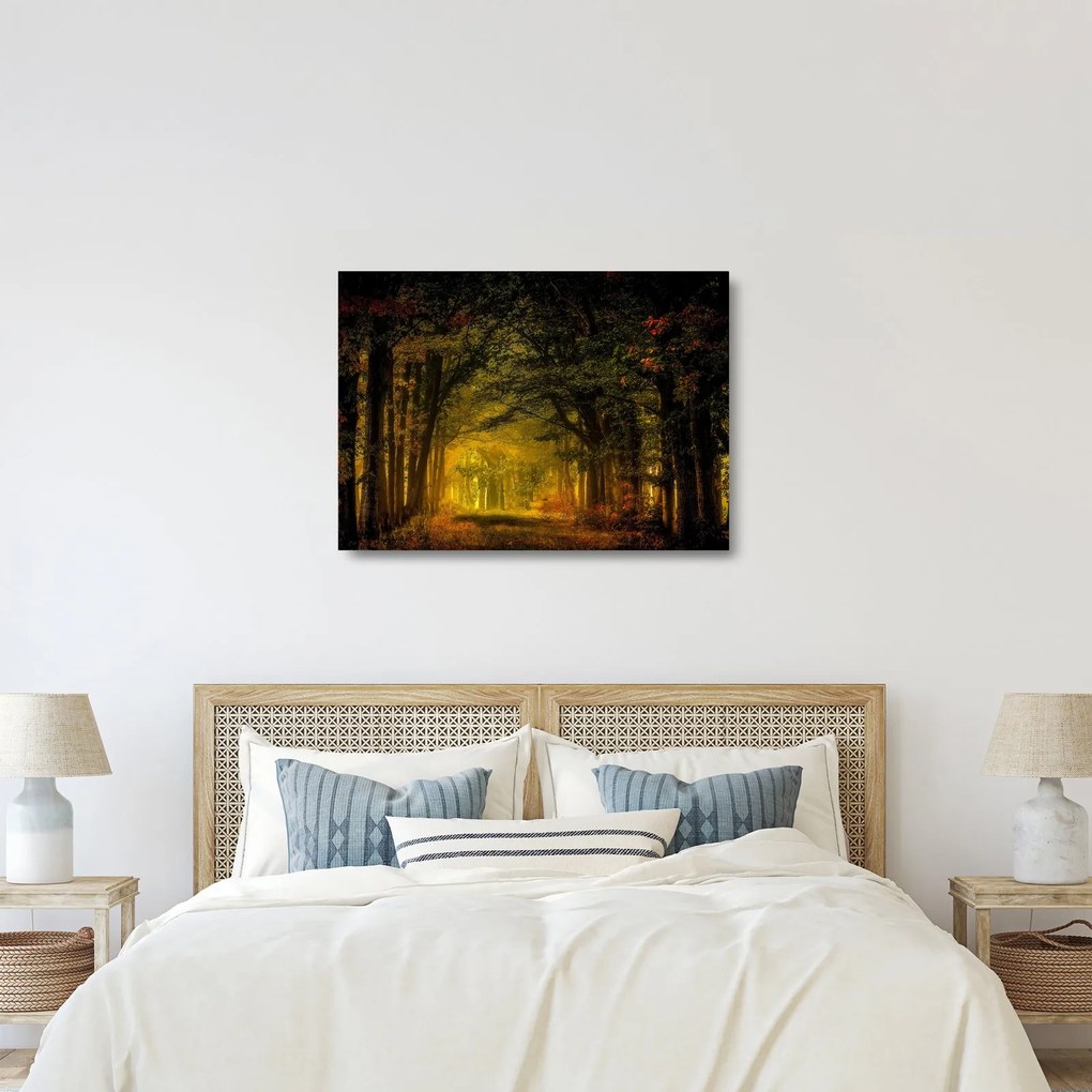 Obraz na szkle lasu (70x50 cm)