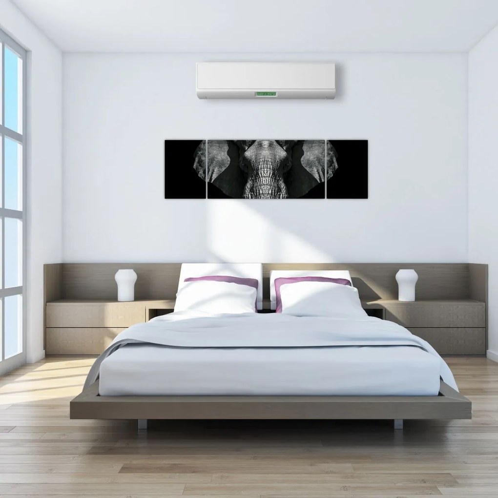 Obraz - Słoń na czarnym tle (170x50 cm)