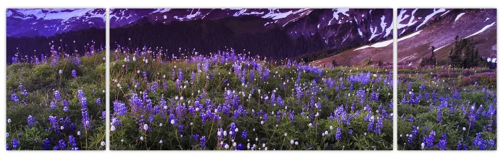 Obraz - Wulkan i kwiaty (170x50 cm)