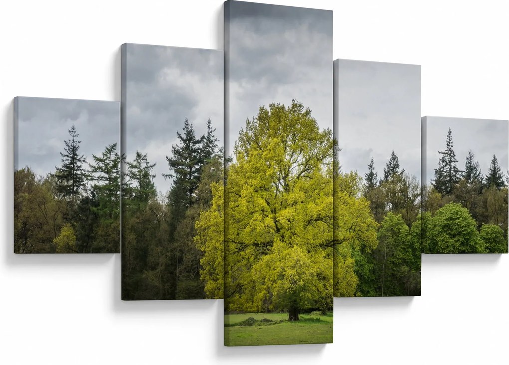 Obraz zielonego drzewa na środku pola (125x70 cm)