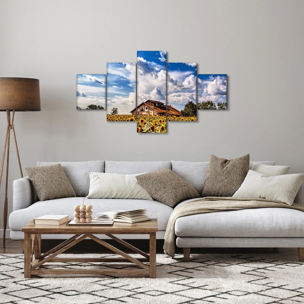 Obraz pola słoneczników (125x70 cm)