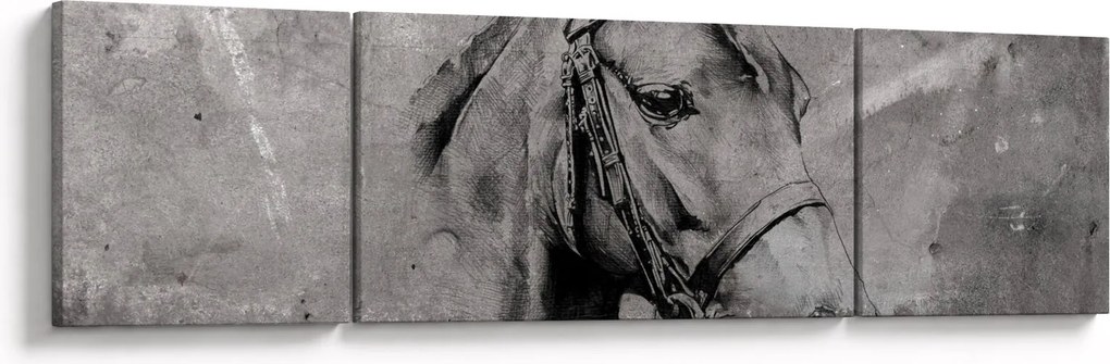 Obraz - Portret konia (170x50 cm)