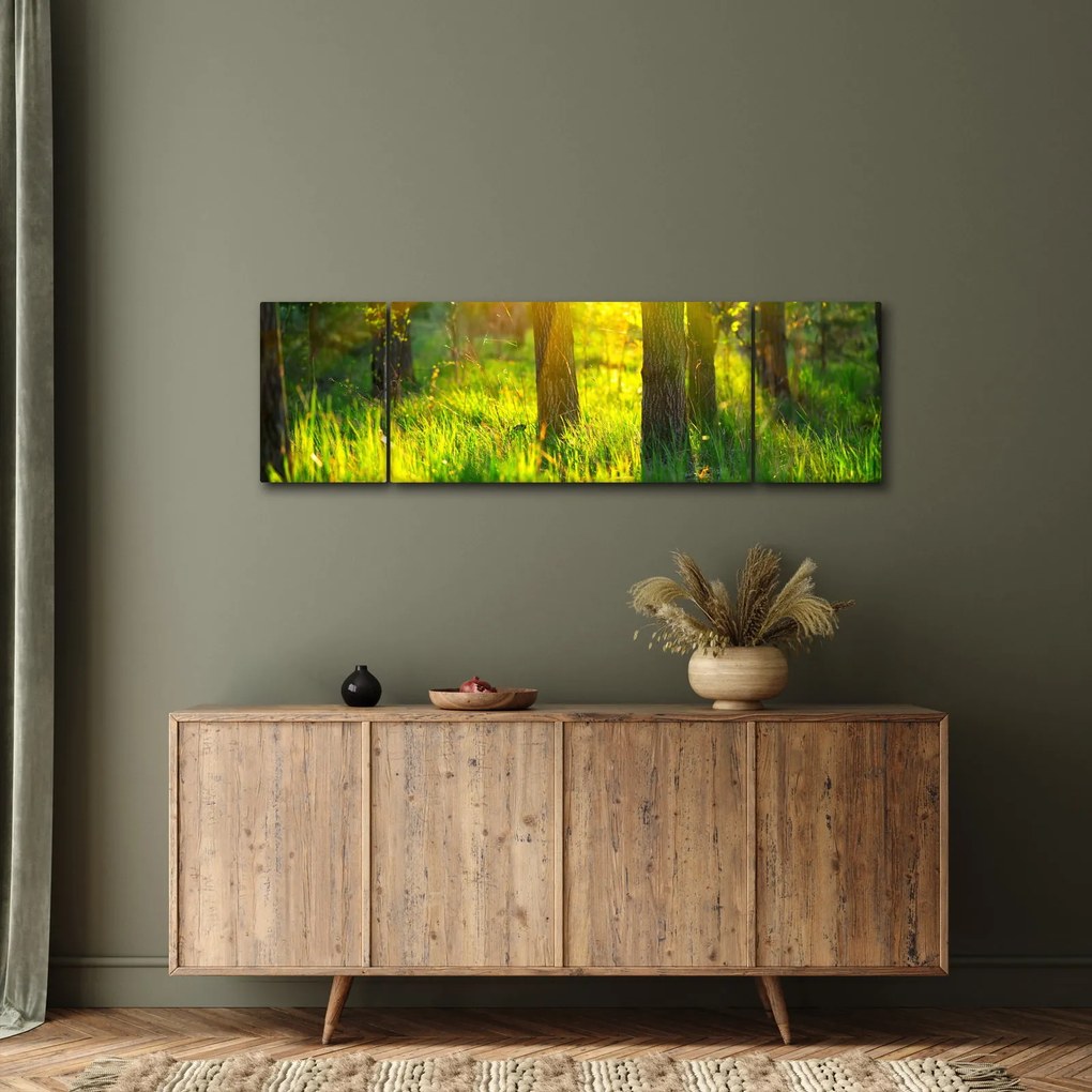 Obraz - Wiosenne przebudzenie lasu (170x50 cm)