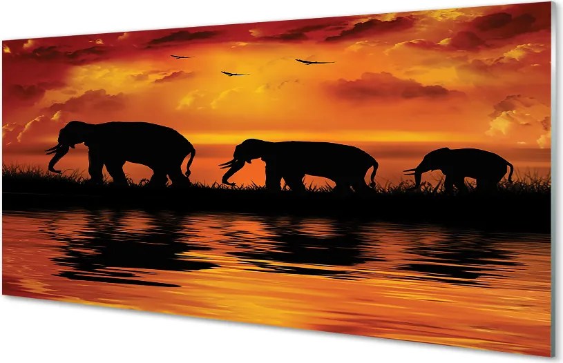 Panel szklany do Kuchni Słonie nad Wadą o Zachodzie